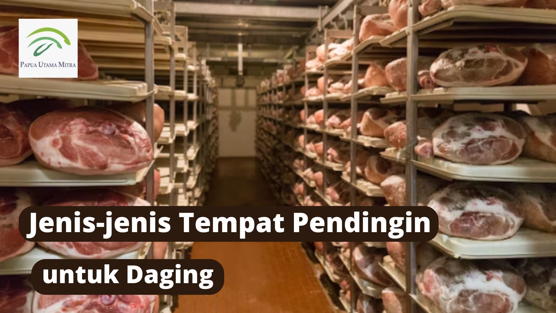 Jenis-jenis Tempat Pendingin untuk Daging